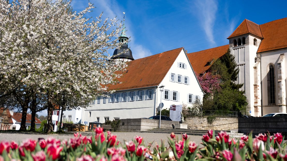 Ansicht des Stiftsforums im Frühling